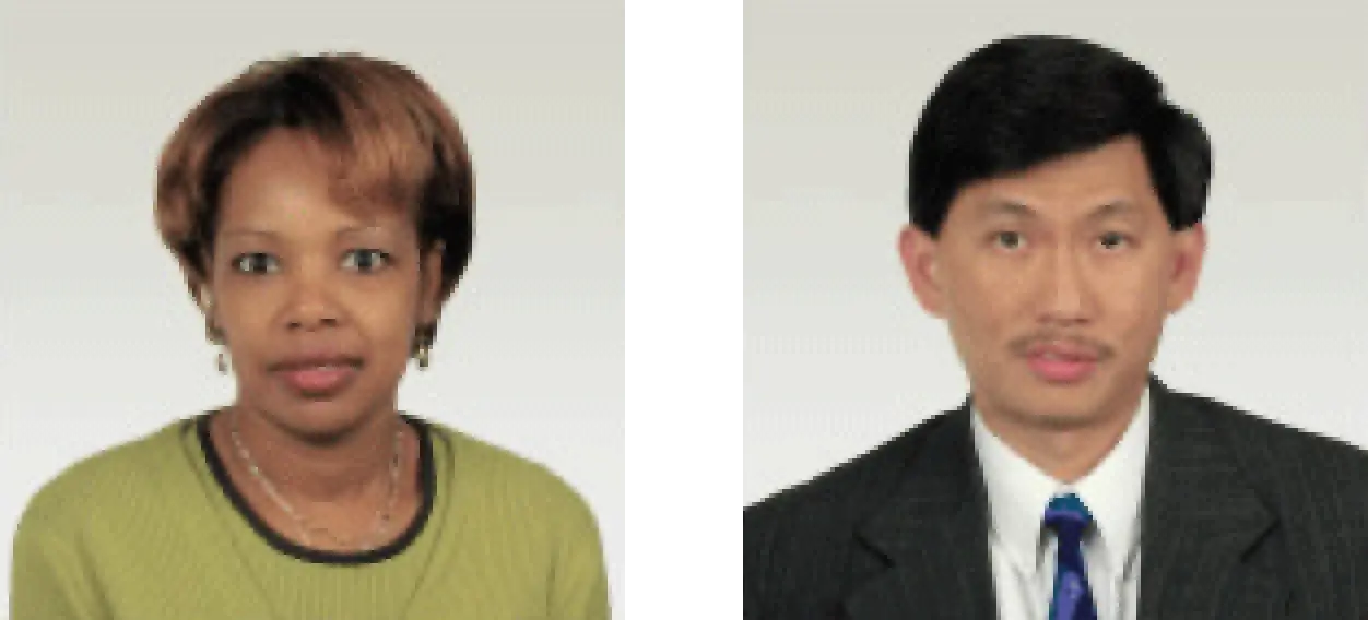 Passport Photo Example 2